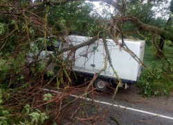 На трассе Новоалександровск-Ставрополь на авто упало дерево