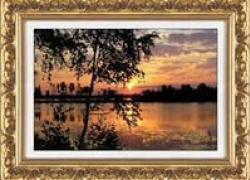 «Грабитель-искусствовед» похитил картины в ставропольской гостинице