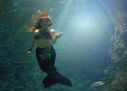 Воображаемая русалка "утащила" на дно рыбака в Ставропольском крае