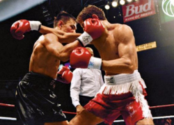 Боксёры сразятся на ринге Пятигорска