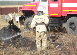 Пожарные ПАСС СК потушили пасеку
