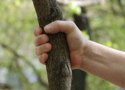 На Ставрополье депутат-скандалист разбил окна соседки палкой