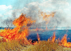 Во время уборки зерновых произошел 31 пожар на Ставрополье