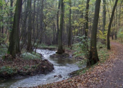 На Ставрополье мужчина с палкой в руках преследовал женщину с ребёнком 