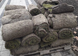 В ессентукском парке спешно в декабре кладут футбольный газон вместо клумб