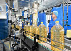 Завод по производству растительного масла за 350 миллионов построят на Ставрополье