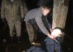 На Ставрополье мужчина из-за денег задушил свою сожительницу 