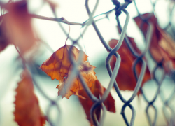 На Ставрополье 19-летний парень соблазнил несовершеннолетнюю