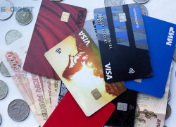 Сотрудницы минэка и минимущества помогли бизнесменше организовать финансовую пирамиду на Ставрополье