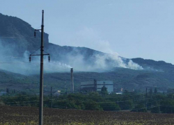 «Пожарные на месте»: повторное возгорание на горе Бештау вспыхнуло утром 21 августа 