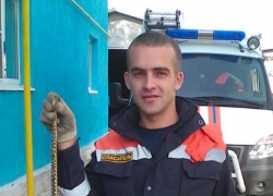 В один из дворов Ставрополя пробралась змея