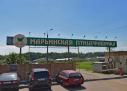 Суд завершил банкротство скандально известной ставропольской «Марьинской птицефабрики»
