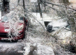 Обледенелые деревья падают на улицах Ставрополя