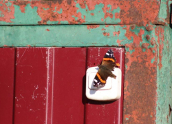 Ярким солнцем и жарой закончится последний мартовский выходной на Ставрополье