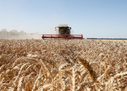 Мошенники обманули сельскохозяйственные предприятия Ставрополья на 25 миллионов рублей