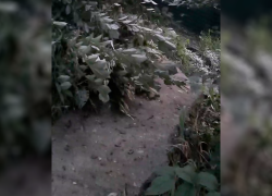 Вода текла по склону, а потом земля съехала во двор: из-за коммунальной аварии в Ставрополе сошел оползень