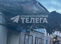 Штормовой ветер в Ставрополе вырвал деревья и повредил автомобили