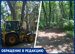 Лес превращается в стройку? Ставропольцы забили тревогу из-за вырубки деревьев в Таманском лесу