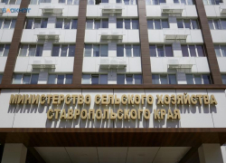 За аферу на 30 миллионов чиновница ставропольского минсельхоза с фермерами получили приговор