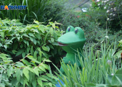 С жары до +37 градусов и тотального отсутствия дождей начнется последняя неделя июля на Ставрополье