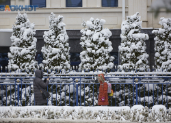 Несколько ставропольских школ из-за непогоды уходят на дистанционное обучение 25 февраля