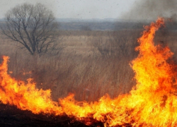 На Ставрополье по вине охотников происходят пожары
