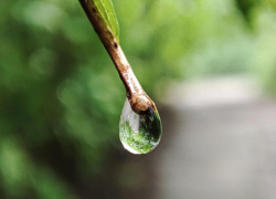 Прохладную ночь и дождливый день пообещали синоптики 10 августа