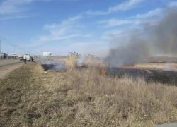 Более 400 гектаров сухостоя сожгут на окраинах Ставрополя 