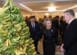 «Бананы точно будут»: губернатор Ставрополья вновь поднял тему заморской ягоды на отечественных прилавках 