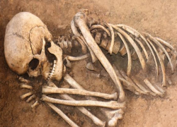 Человеческие кости раскопали жители частного дома в Ставрополе