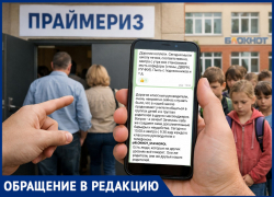Нагружают учителей и гонят родителей на праймериз? Филиал ада мог открыться в школе №27 в Ставрополе