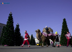 Потеплением до +10 градусов днем порадует ставропольцев погода 19 декабря