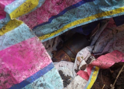 Боевую мину вблизи женского монастыря обезвредили на Ставрополье 