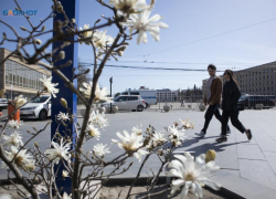 Режим повышенной готовности из-за сильной жары до +40 ввели на Ставрополье