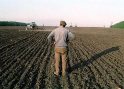 Суд отказал губернатору Ставрополья в законе «жирных котов»