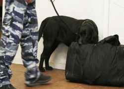 Две подозрительные сумки нашли в Ставрополе