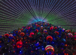 В Ставрополе убирают новогоднее убранство, но не всё 