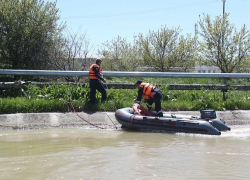Бесследно пропавшего пенсионера ищут в реке Кубань на Ставрополье