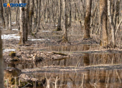 Туманы и дожди решили не расставаться со Ставрополем и 13 ноября 