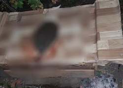 Девушка утопила новорожденного ребенка в уличном туалете на Ставрополье