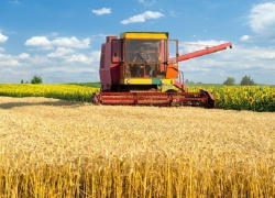 Исторический рекорд по сбору зерна побили аграрии Ставрополья