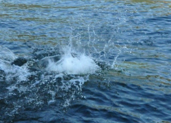 Трагедия на Ставрополье: маленький ребенок утонул в пруду