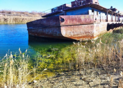 После уголовного дела Чограйское водохранилище на Ставрополье очистили 