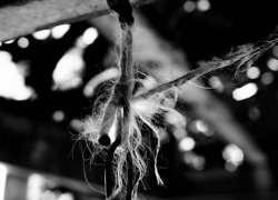 В Кисловодске повесился мужчина