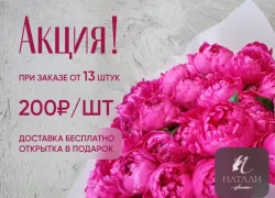 Цены рухнули: сортовые пионы отдают за копейки — спешите заказать в Ставрополе