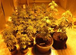 «Во все тяжкие»: в Ставрополе пресекли работу нарколаборатории