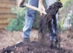 Взрослый мужчина и юноша из-за книг жестоко расправились со знакомым на Ставрополье