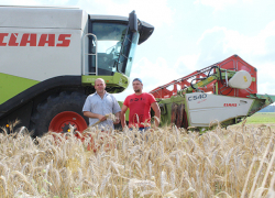 «Что мы будем делать с урожаем?», — ставропольские фермеры опасаются, что не заработают на зерне