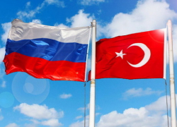 Производители Ставрополья заменят турецкие овощи в регионе