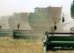 В августе пройдет "День поля" на Ставрополье